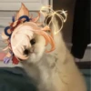 Tiny genshin cats 25