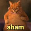 aham