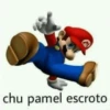 chu pamel escroto