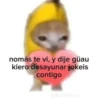 Gatitos Shitposting 2 14