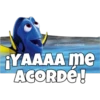 Dory olvidadiza 25