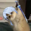 Tiny genshin cats 27