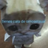 Pack Enojo Shitpost 😡🤬 2 12