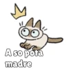 🧿Gatitos🐱🐈 21