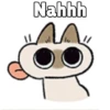 🧿Gatitos🐱🐈 22