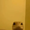 MOOD Randoms 3 14
