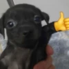 Tenga un buen día 26