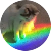 Meow (@Pro100Artem) — @stckrRobot 27