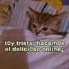 Gatitos Shitposting 2 15