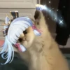 Tiny genshin cats 30