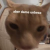 Mix de memes 😛🤪😎 21