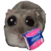 Ratita Triste 20