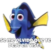 Dory olvidadiza 30