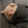 Porquinho aconchegado