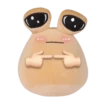 POU SAD 17