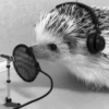 ToxicTheHadgehog 6