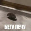 ToxicTheHadgehog 8