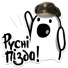 PYCHI juesin