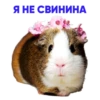 ALENA BLIN & AGENT GIRL @neopra_blin 5