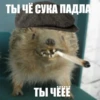 ToxicTheHadgehog 11