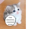 Гнев мимолетен, сожаления вечны.