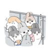 Ultimate Machiko Rabbit Pack #2 8