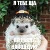 ToxicTheHadgehog 15