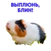 ALENA BLIN & AGENT GIRL @neopra_blin 8