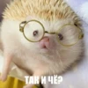 ToxicTheHadgehog 16