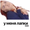 SonyaSpack PRO 19