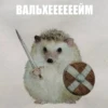 ToxicTheHadgehog 17