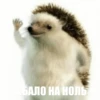 ToxicTheHadgehog 20