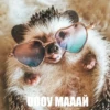 ToxicTheHadgehog 24