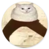 Кошки в кругах 27