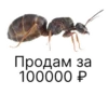 Продам за 100000 Р