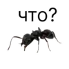 புTO?