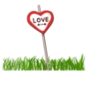 The Signs of Love 8