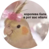 королева бала в рот вас ебала