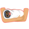 The cat named Mouse 6