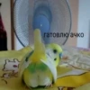 Uzhe tretiy 9