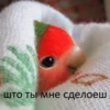 Uzhe tretiy 12