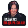 СПОРТ 2026 8