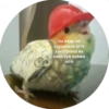 Uzhe tretiy 17