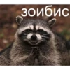 зоибис