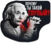 СПОРТ 2026 13