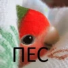 Uzhe tretiy 19