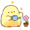 Soft and Cute Chicks New @softandqt 7