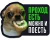 СПОРТ 2026 20