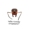 Стебе голову оторвало?