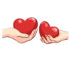 The Signs of Love 18